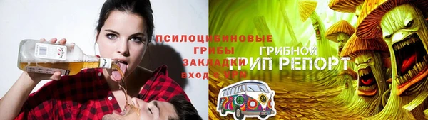 гидра Бородино