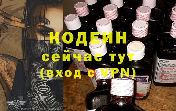 гидра Бородино
